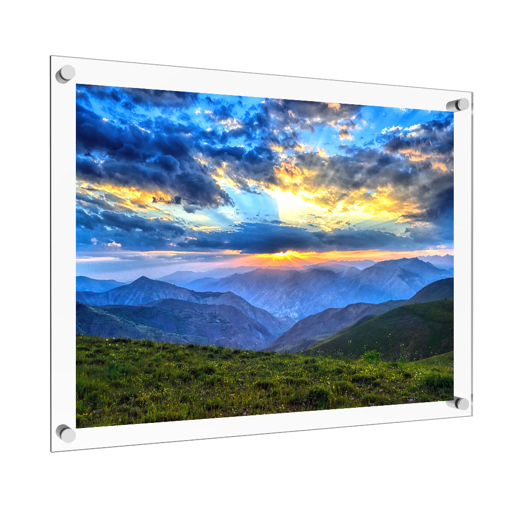 Vale Arbor Acrylic Frame